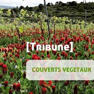 TRIBUNE - Les couverts végétaux en climat méditerranéen : une pratique bénéfique qui nécessite un pilotage précis de la destruction